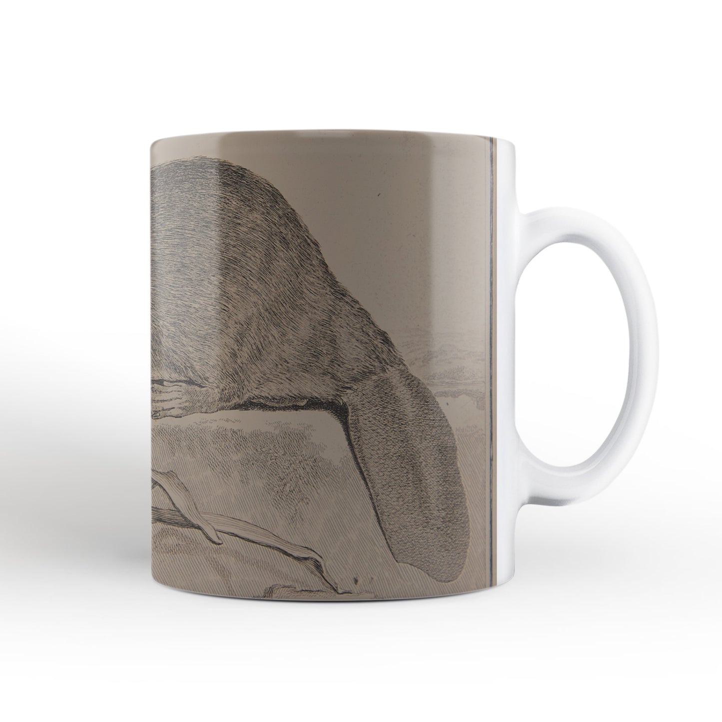 Brown Beaver mug from The Cosmographia (1544) by Sebastian Münster, Leighton Library