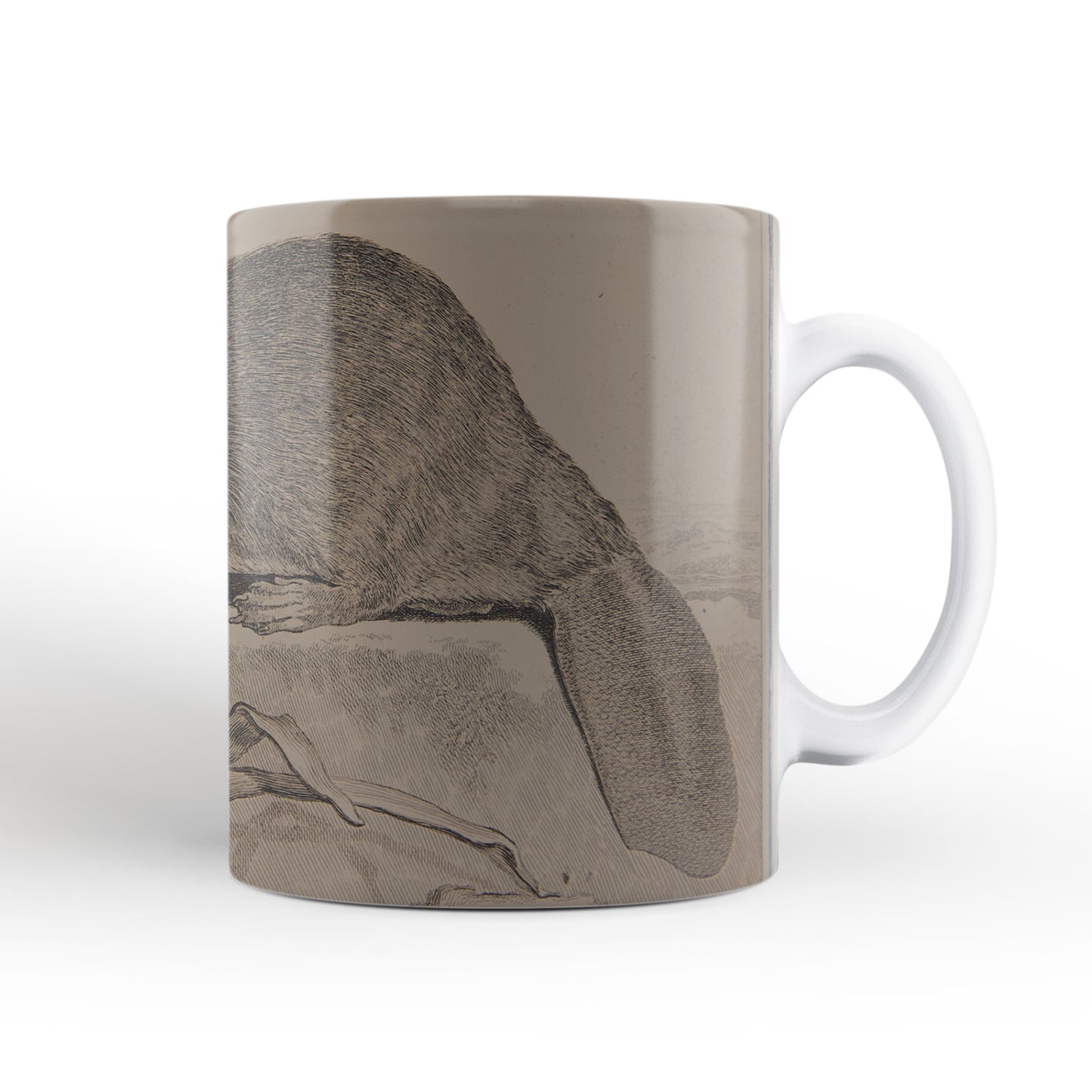 Brown Beaver mug from The Cosmographia (1544) by Sebastian Münster, Leighton Library