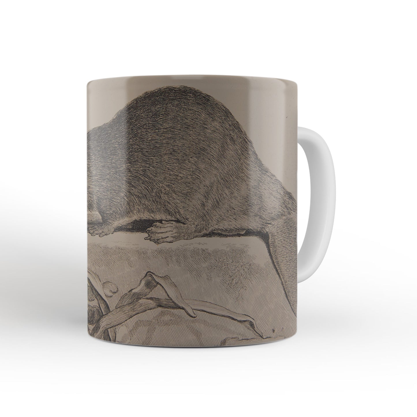 Brown Beaver mug from The Cosmographia (1544) by Sebastian Münster, Leighton Library