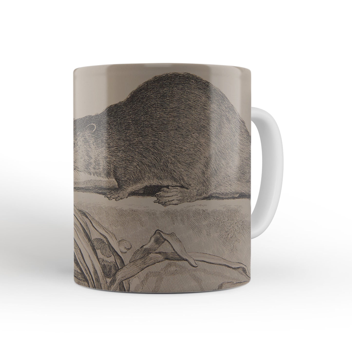 Brown Beaver mug from The Cosmographia (1544) by Sebastian Münster, Leighton Library