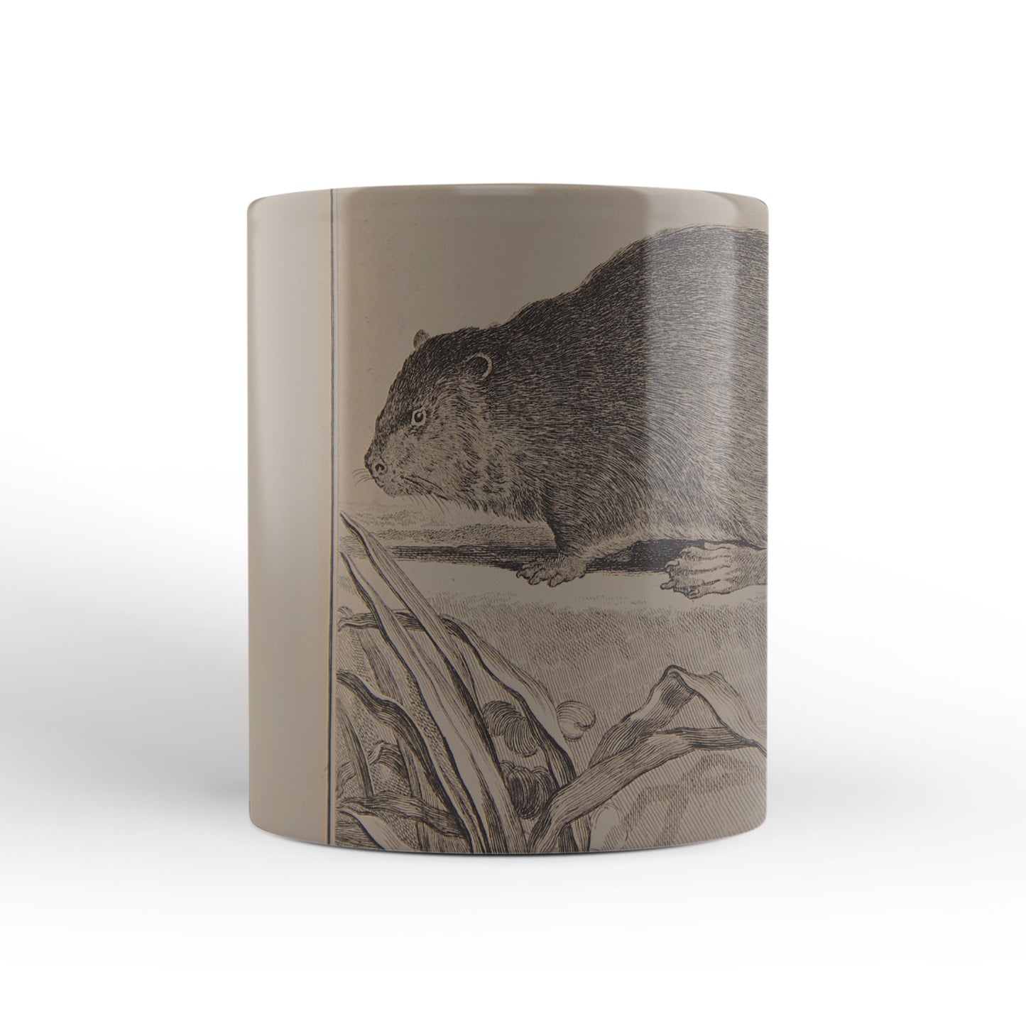 Brown Beaver mug from The Cosmographia (1544) by Sebastian Münster, Leighton Library