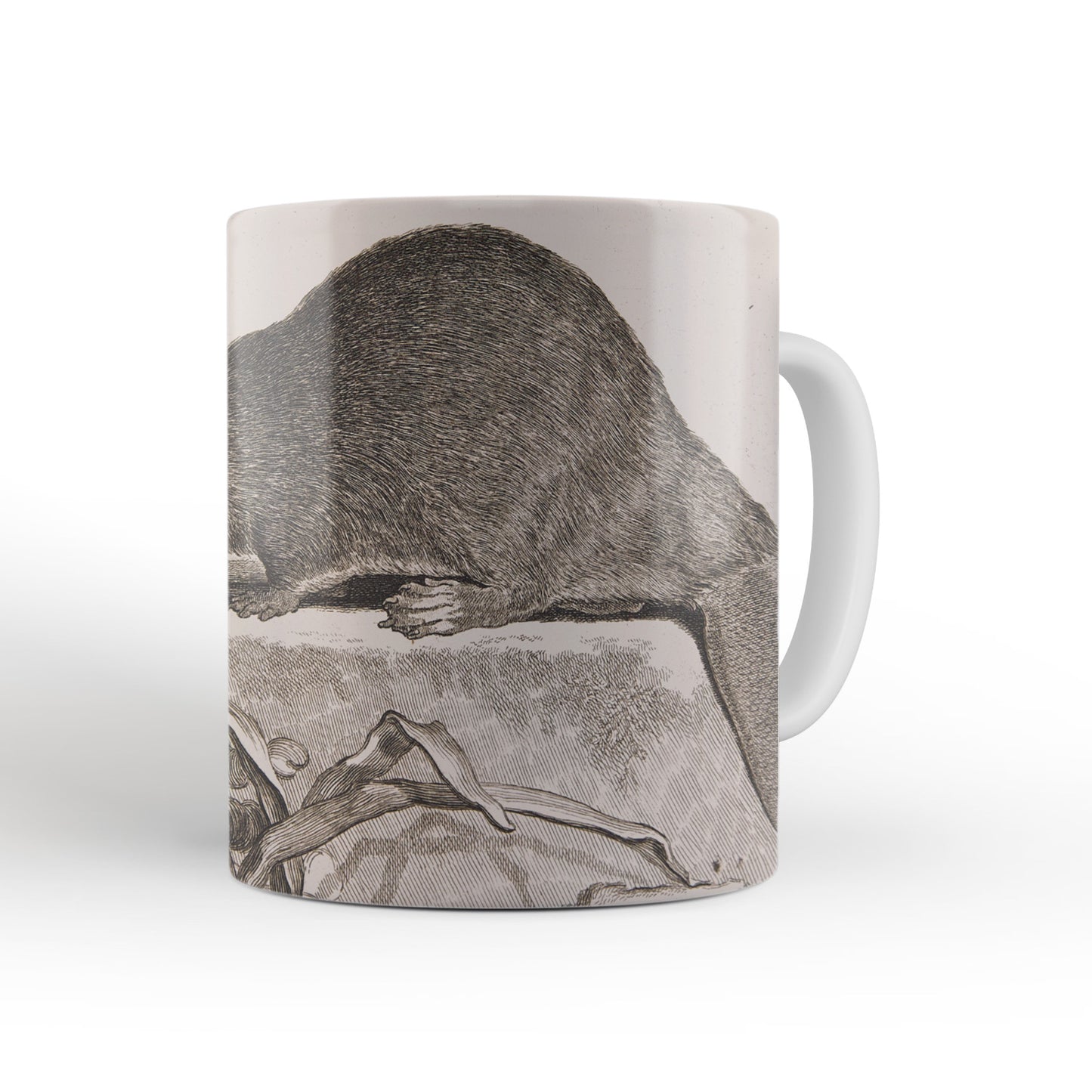 Beaver mug from The Cosmographia (1544) by Sebastian Münster, Leighton Library