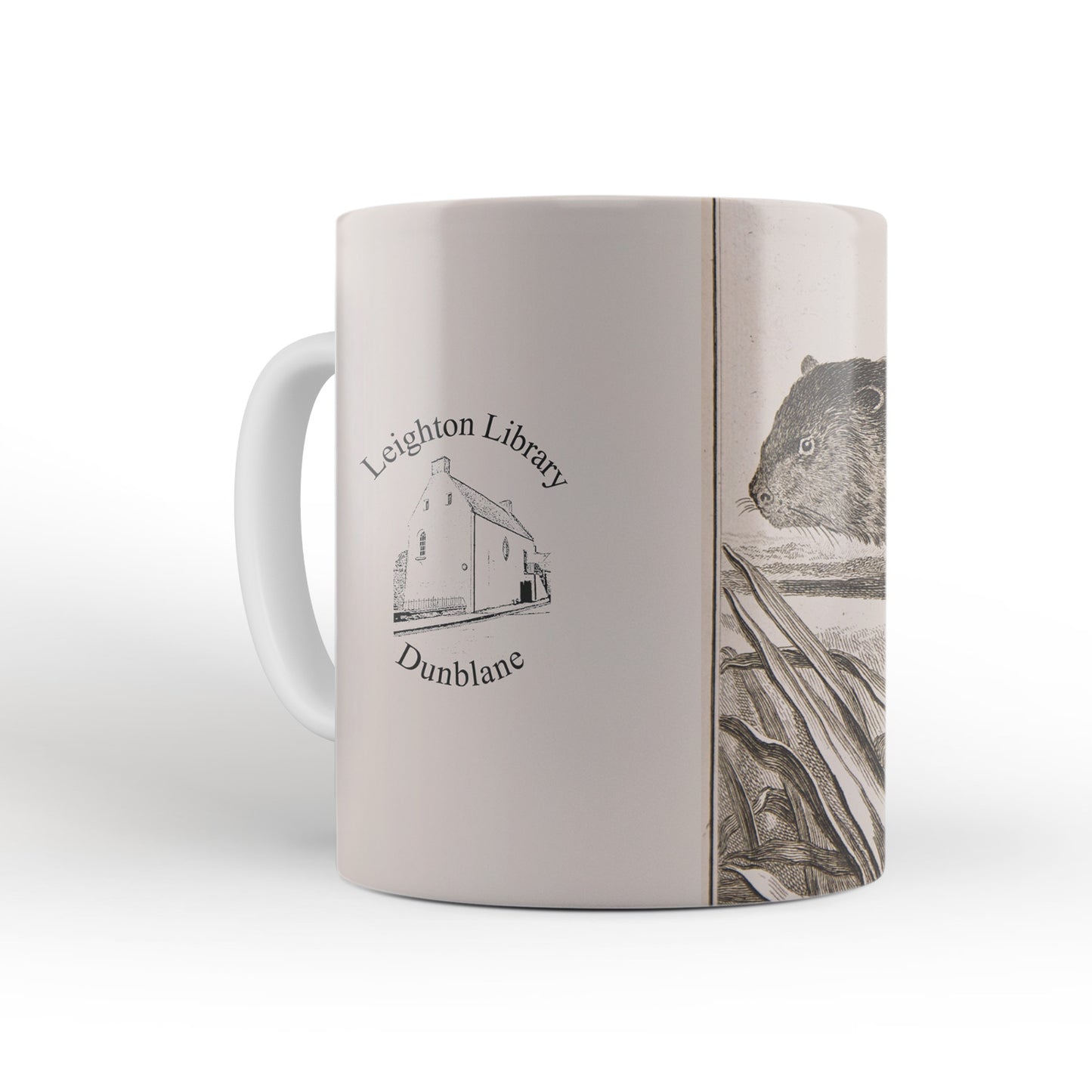 Beaver mug from The Cosmographia (1544) by Sebastian Münster, Leighton Library