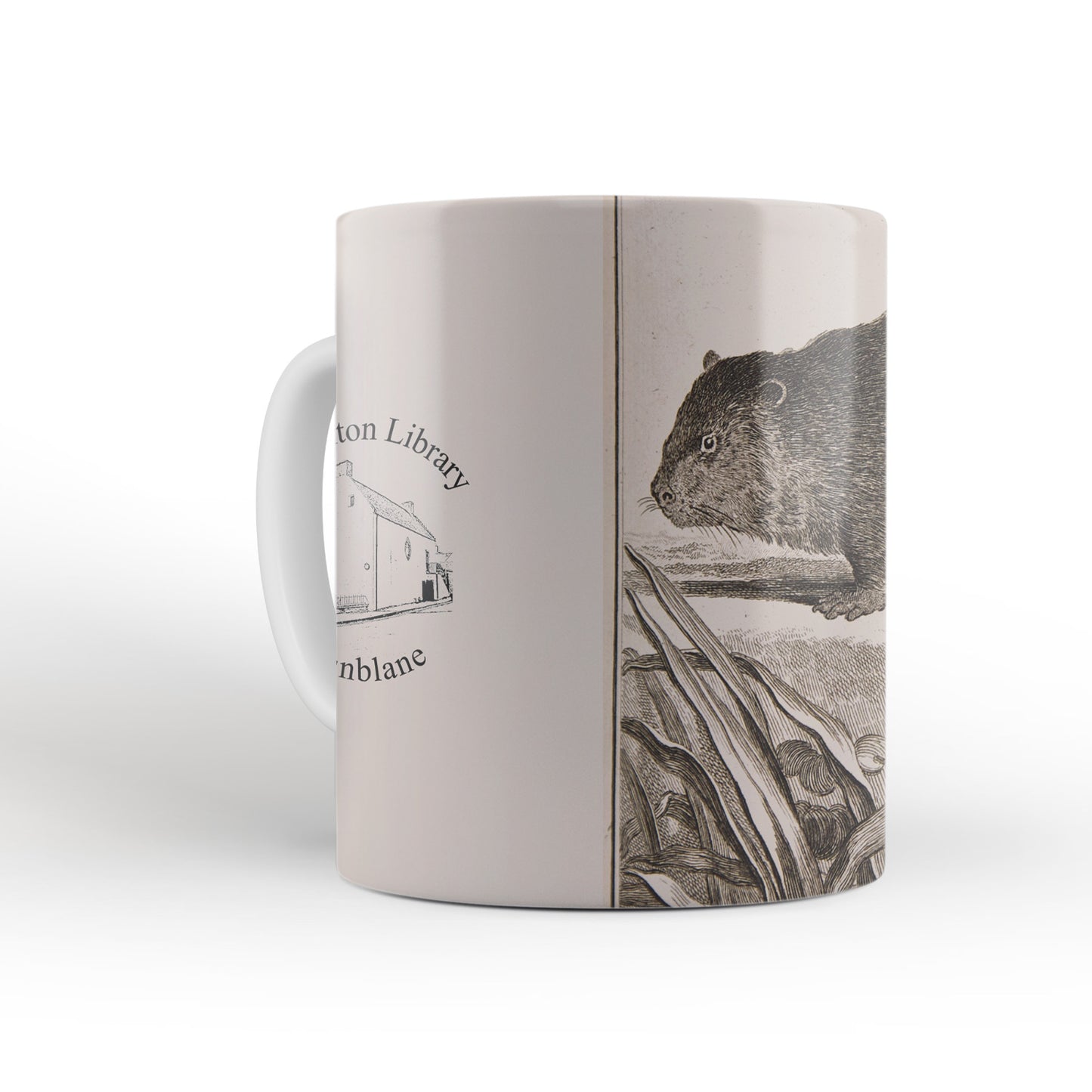 Beaver mug from The Cosmographia (1544) by Sebastian Münster, Leighton Library