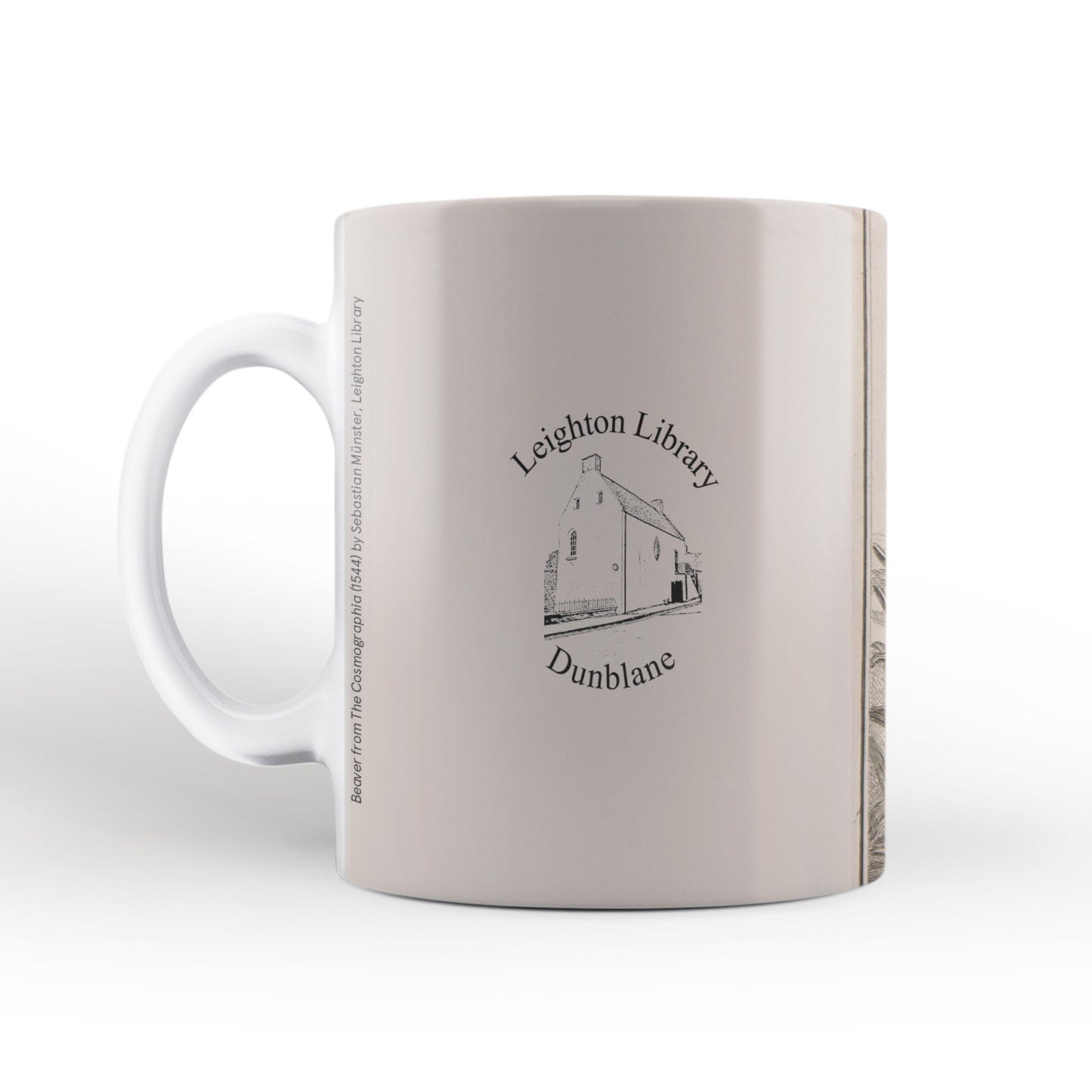 Beaver mug from The Cosmographia (1544) by Sebastian Münster, Leighton Library