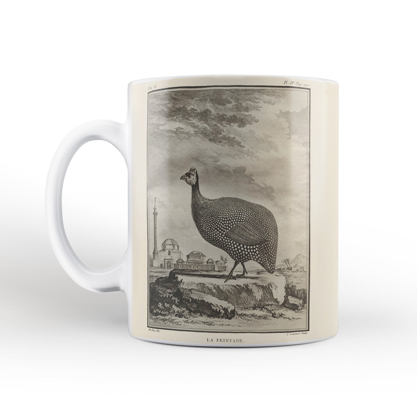 Scottish birds - Guineafowl mug (natural colour)