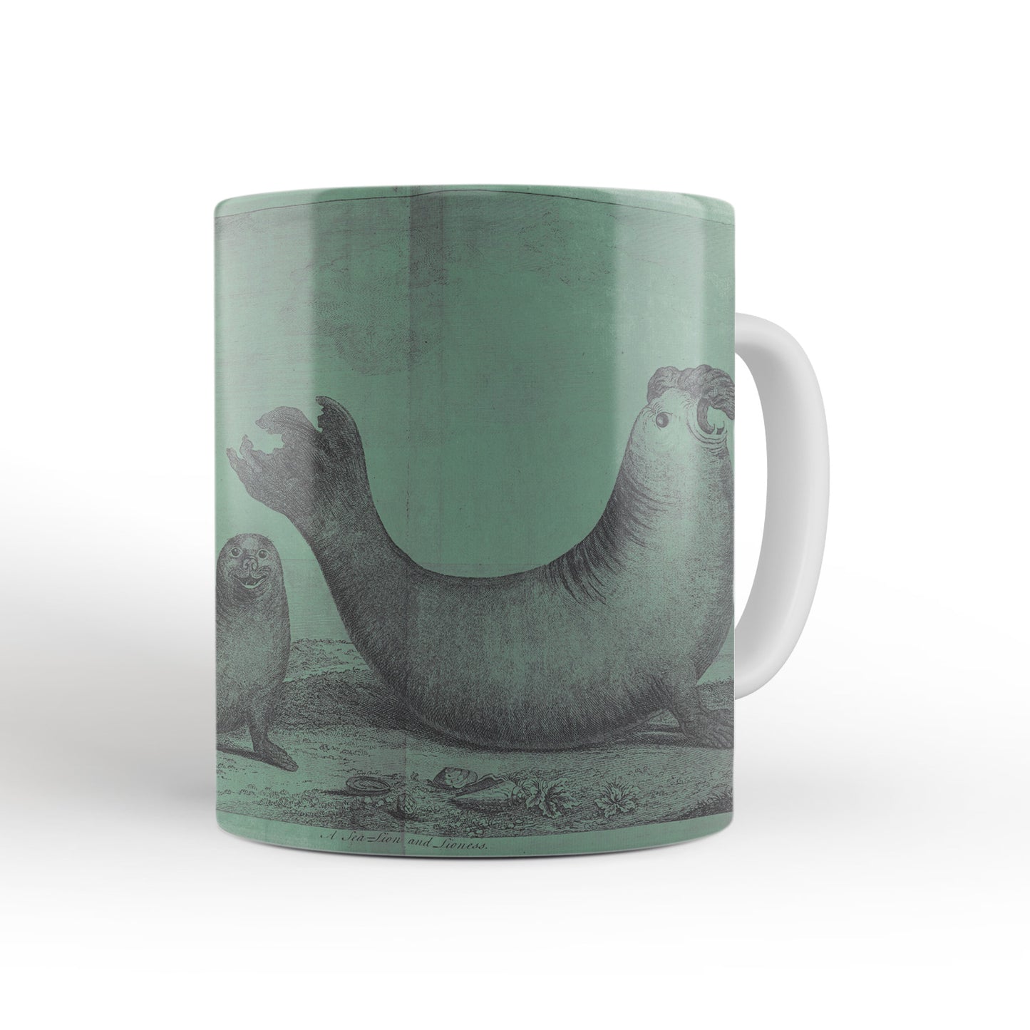 Green Elephant Seals mug from Travels Around the World (1740 to 1744), George Anson, Leighton Library