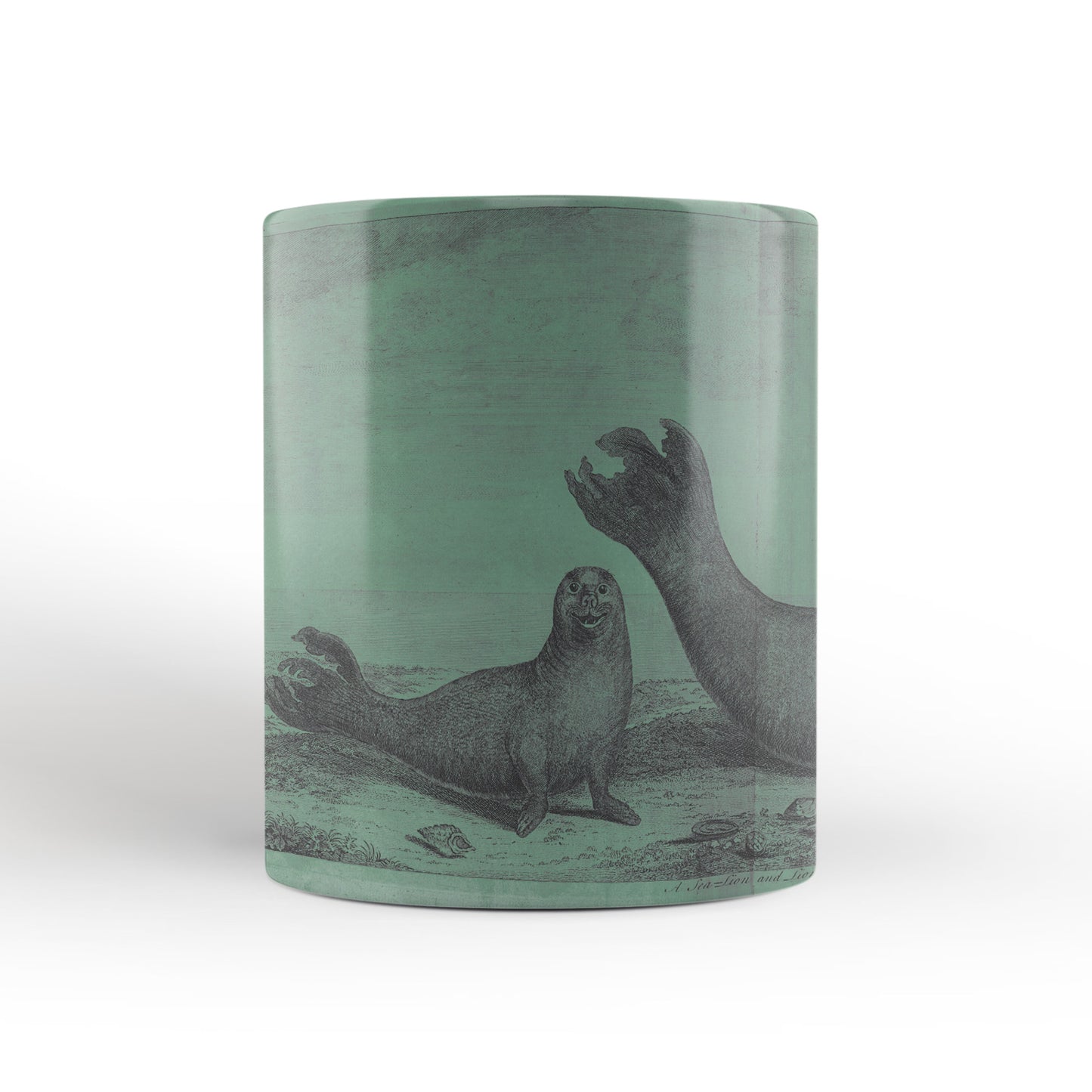 Green Elephant Seals mug from Travels Around the World (1740 to 1744), George Anson, Leighton Library