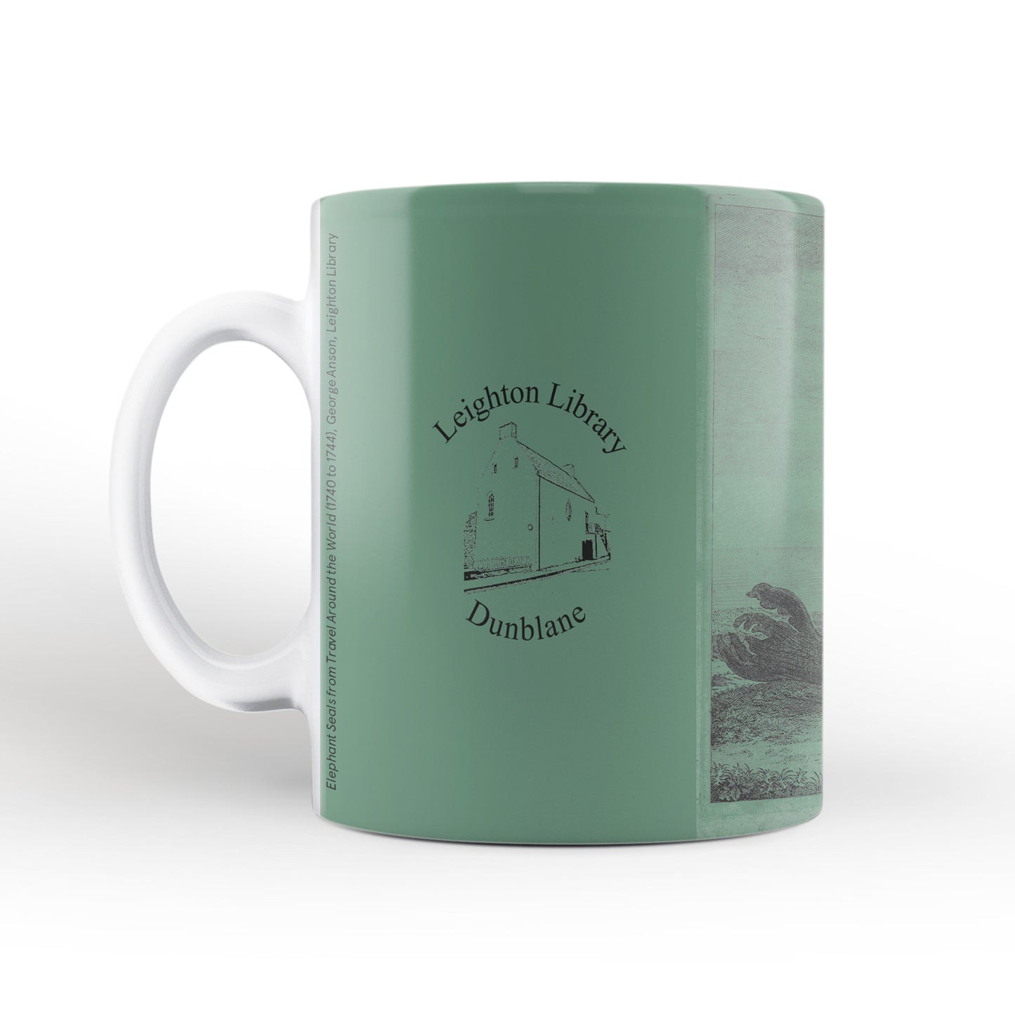 Green Elephant Seals mug from Travels Around the World (1740 to 1744), George Anson, Leighton Library