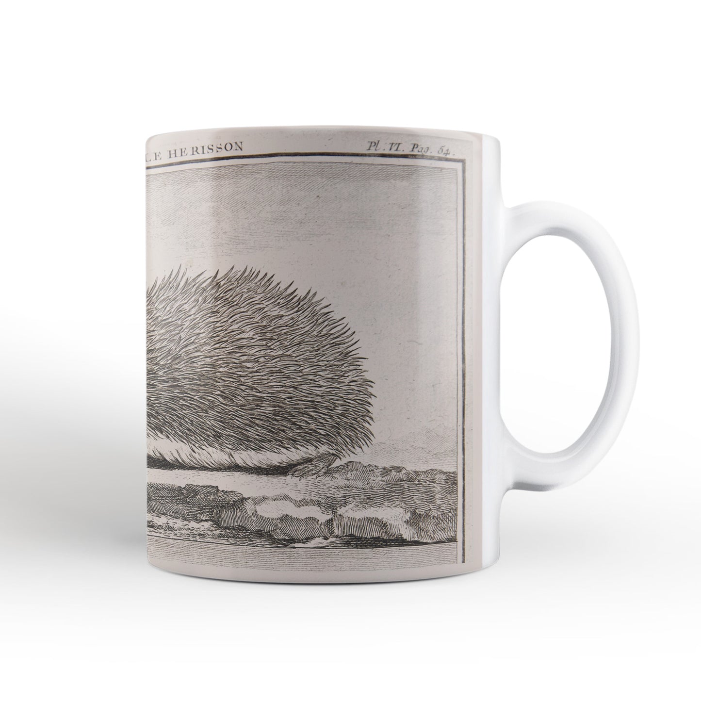 Hedgehog Mug from The Cosmographia (1544) by Sebastian Münster, Leighton Library