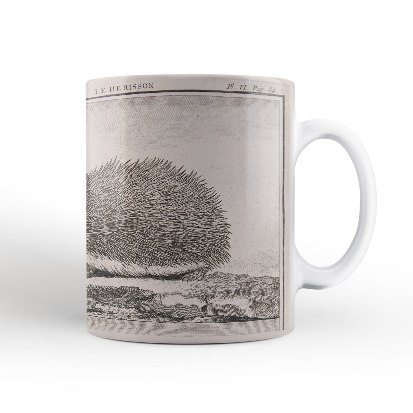 Hedgehog Mug from The Cosmographia (1544) by Sebastian Münster, Leighton Library