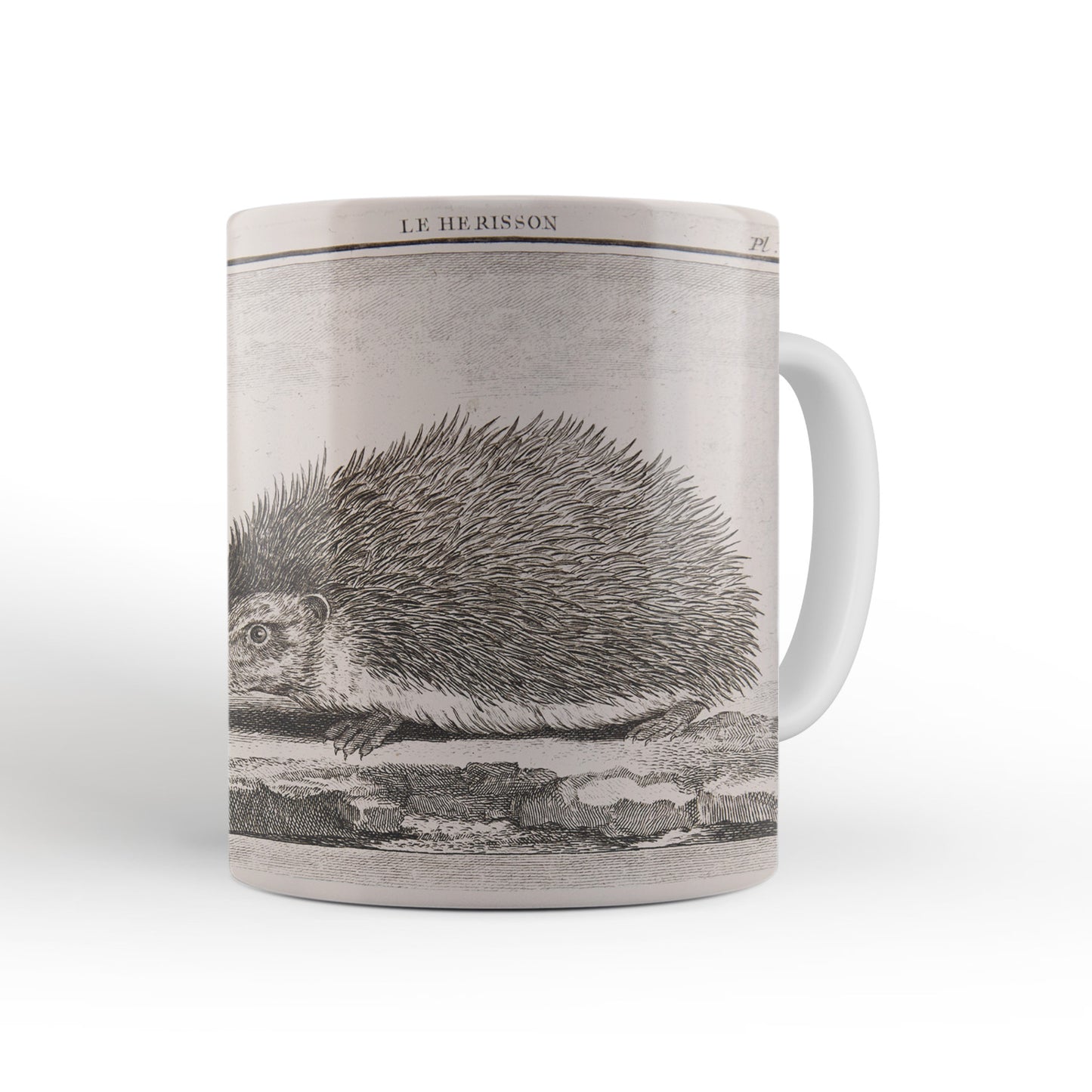 Hedgehog Mug from The Cosmographia (1544) by Sebastian Münster, Leighton Library