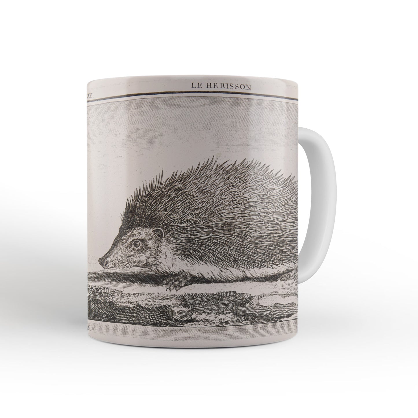 Hedgehog Mug from The Cosmographia (1544) by Sebastian Münster, Leighton Library