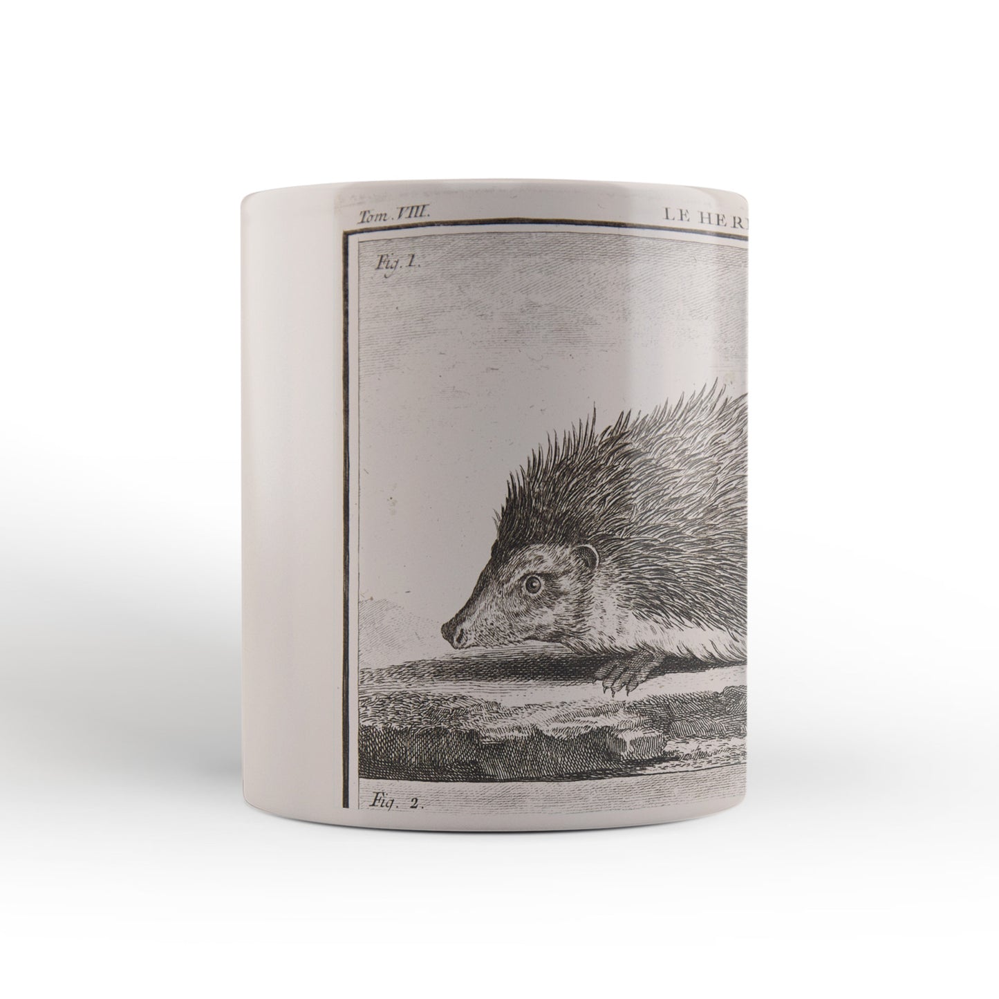 Hedgehog Mug from The Cosmographia (1544) by Sebastian Münster, Leighton Library