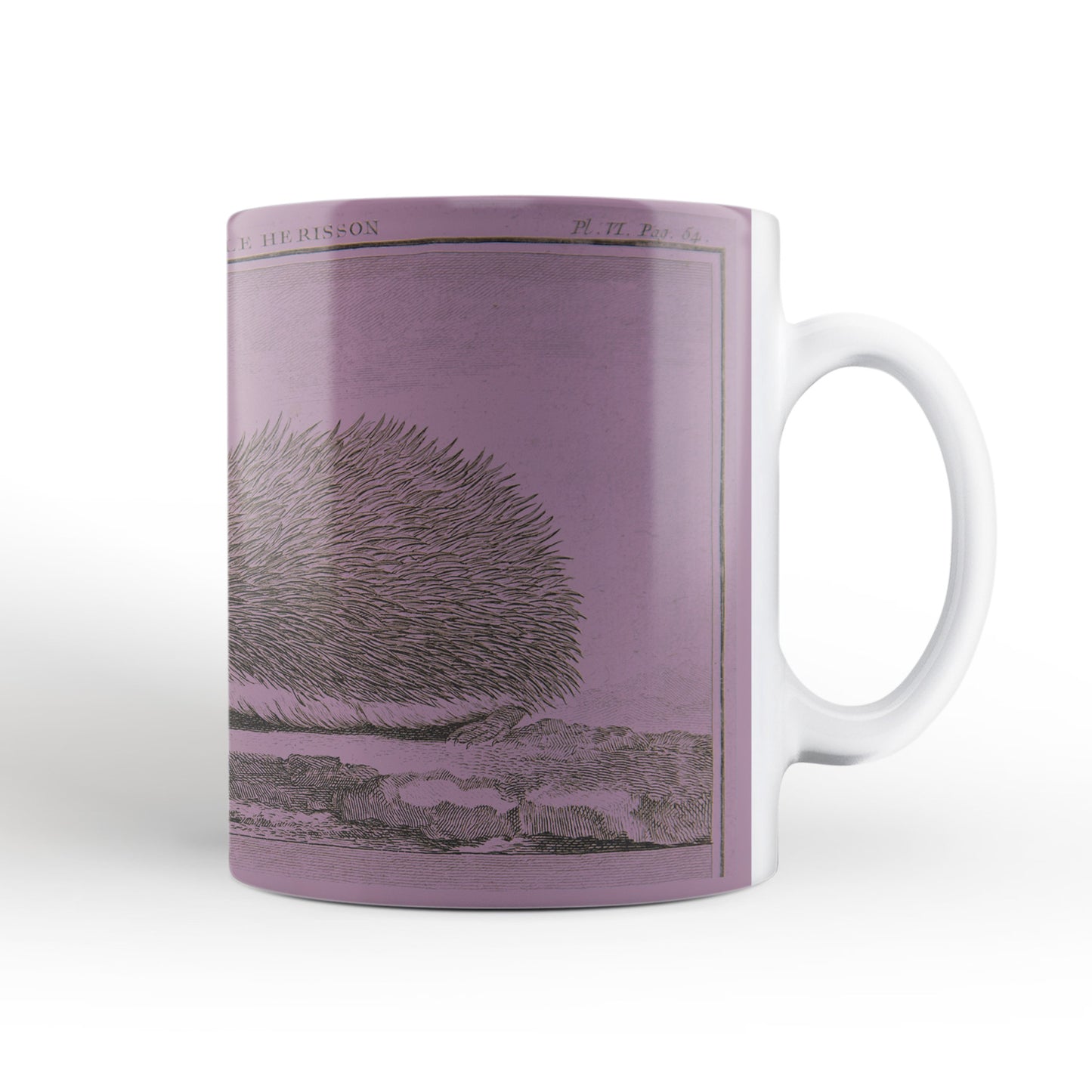 Pink Hedgehog Mug from The Cosmographia (1544) by Sebastian Münster, Leighton Library