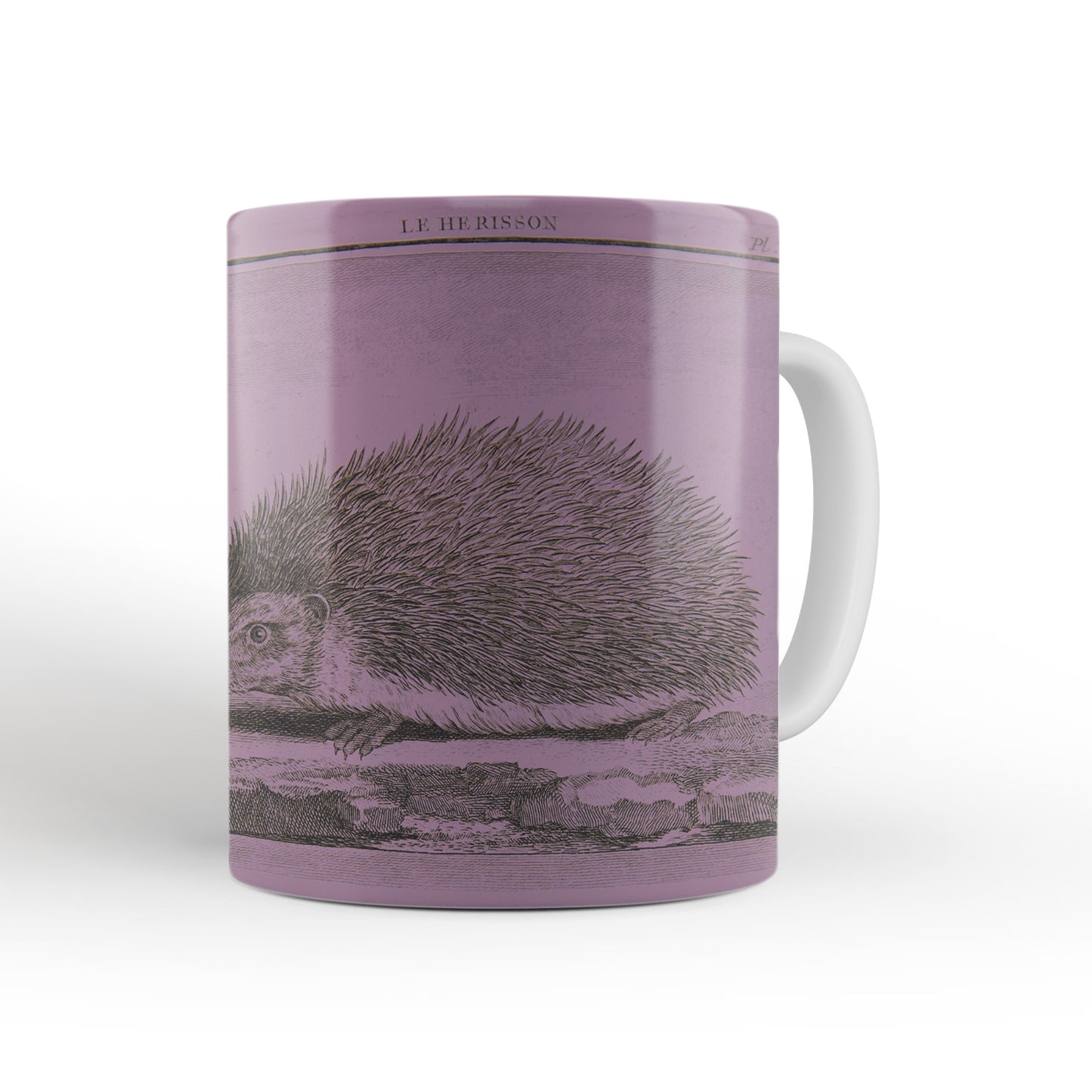 Pink Hedgehog Mug from The Cosmographia (1544) by Sebastian Münster, Leighton Library