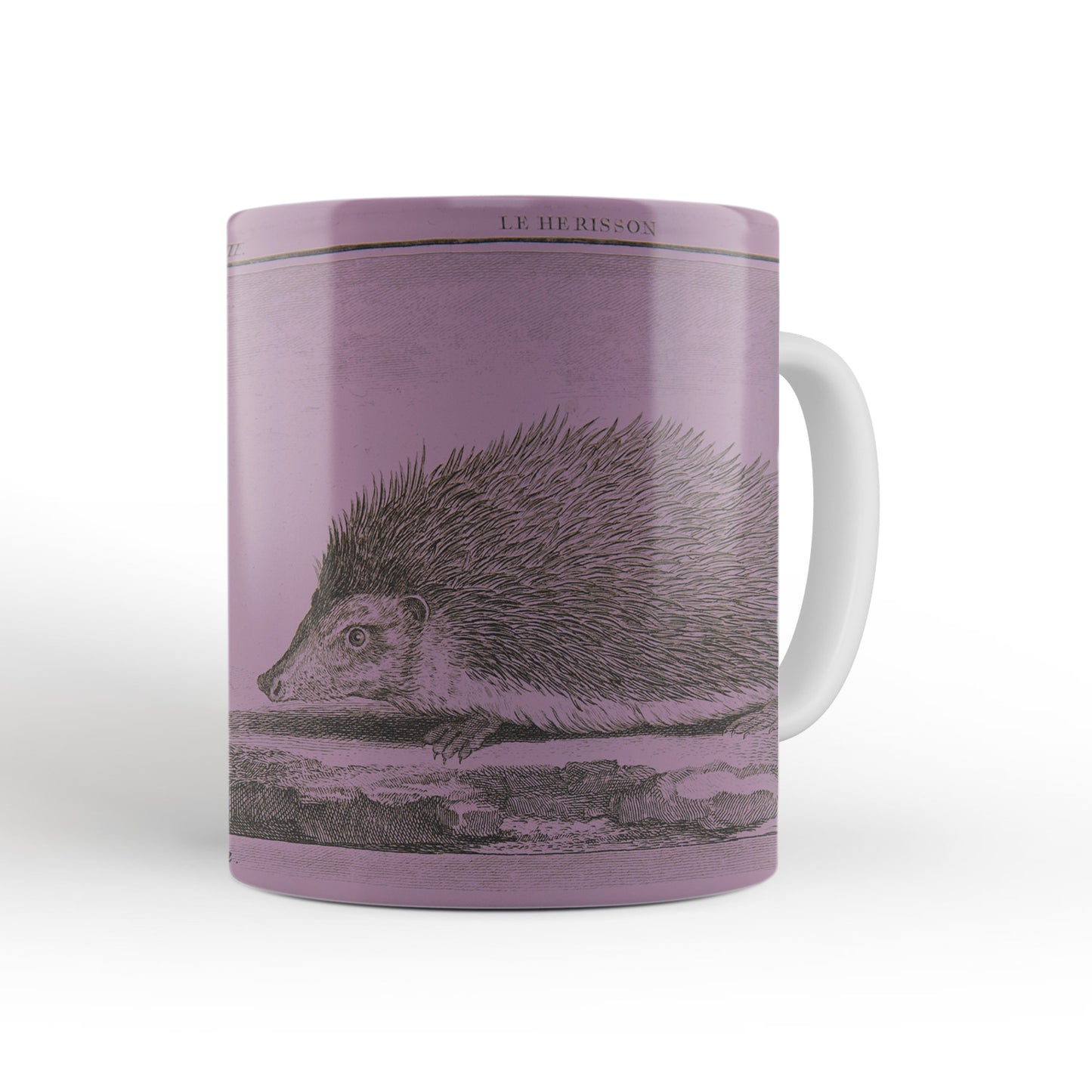 Pink Hedgehog Mug from The Cosmographia (1544) by Sebastian Münster, Leighton Library