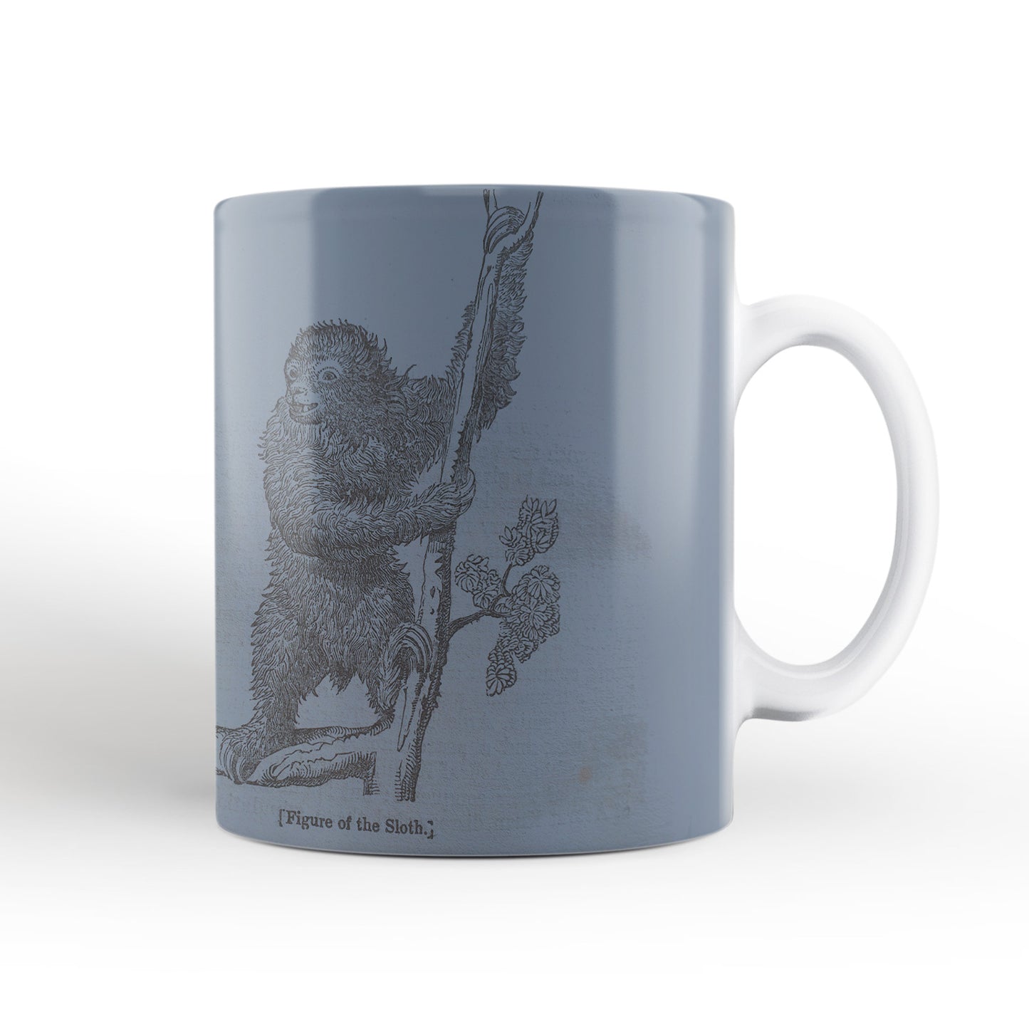 Blue Sloth Mug from The Penny Cyclopædia (1833 to 1843), Leighton Library