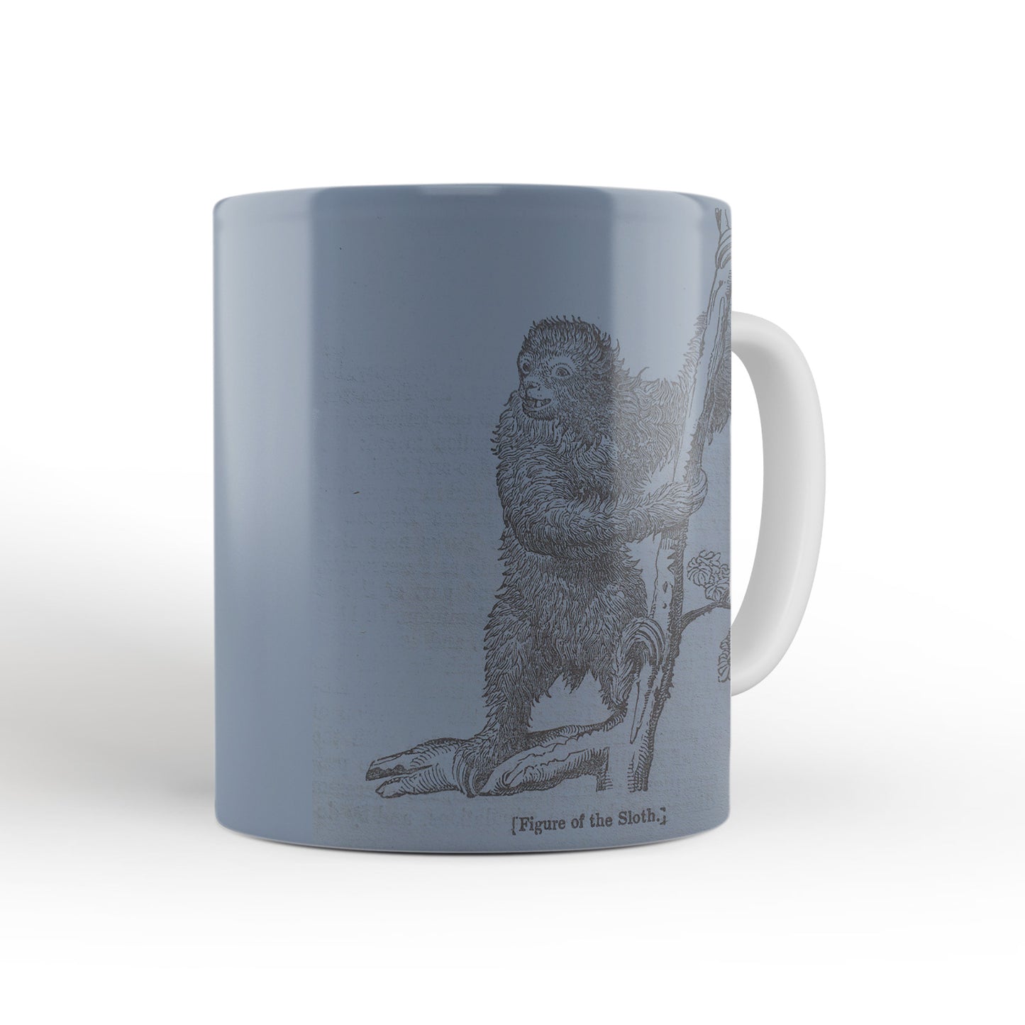 Blue Sloth Mug from The Penny Cyclopædia (1833 to 1843), Leighton Library