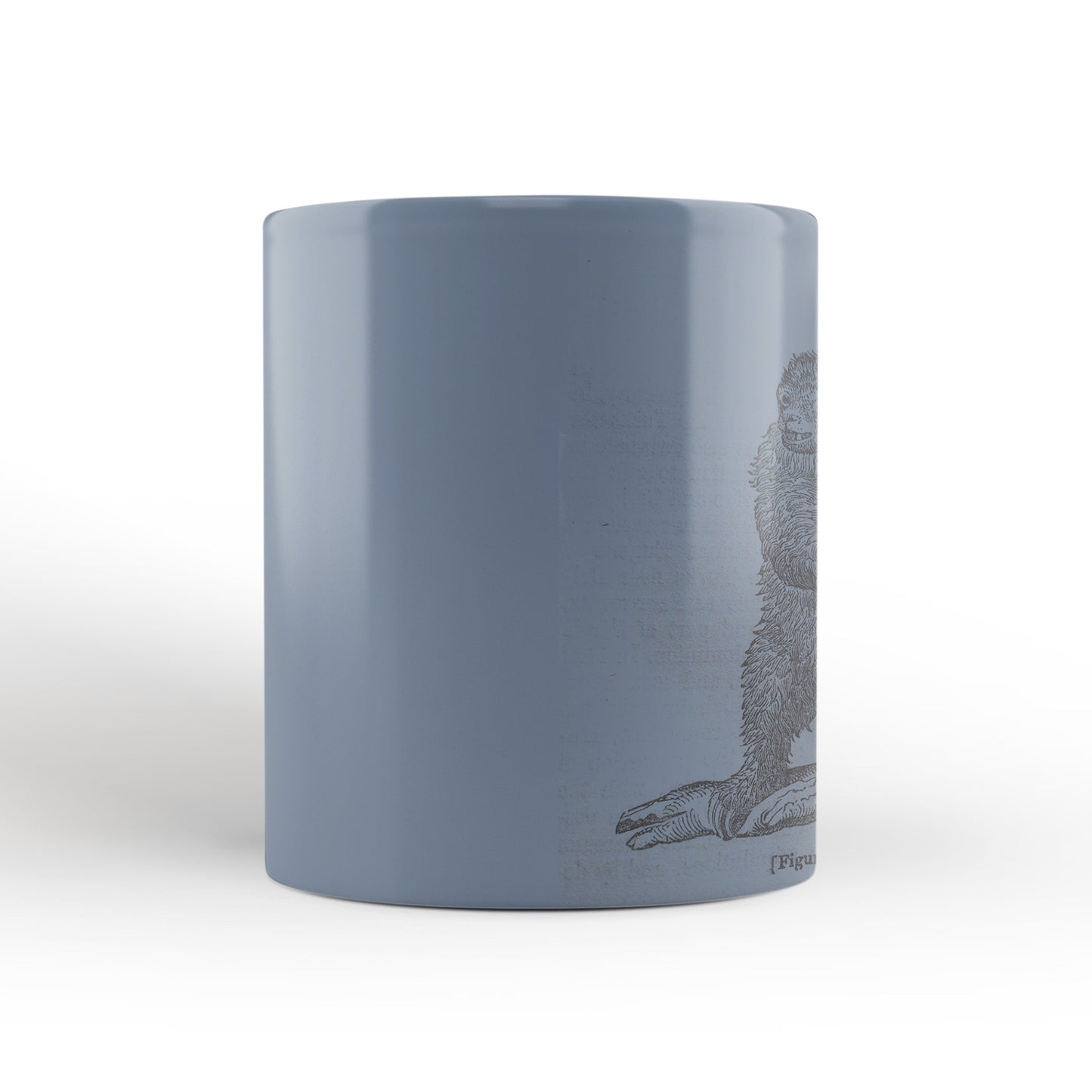 Blue Sloth Mug from The Penny Cyclopædia (1833 to 1843), Leighton Library