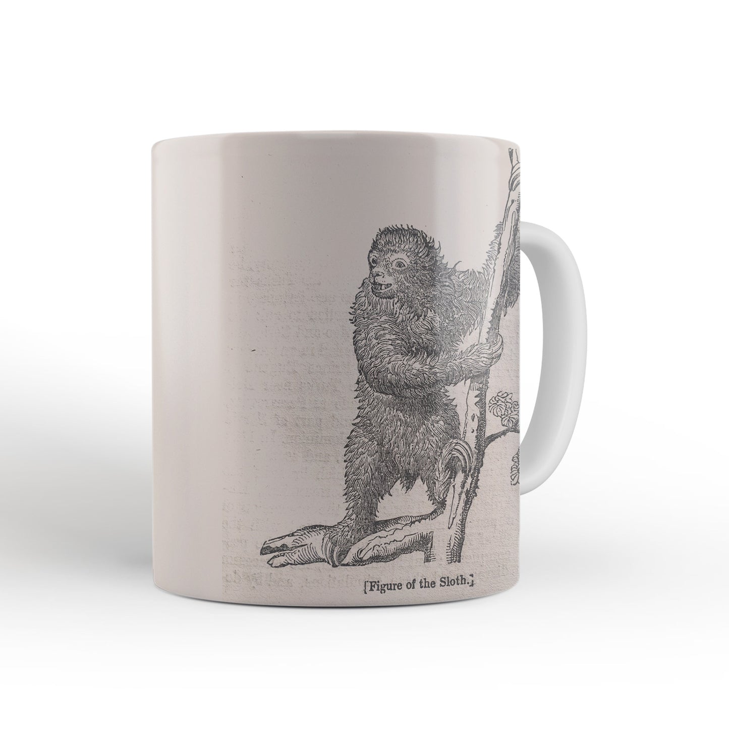 Sloth Mug from The Penny Cyclopædia (1833 to 1843), Leighton Library
