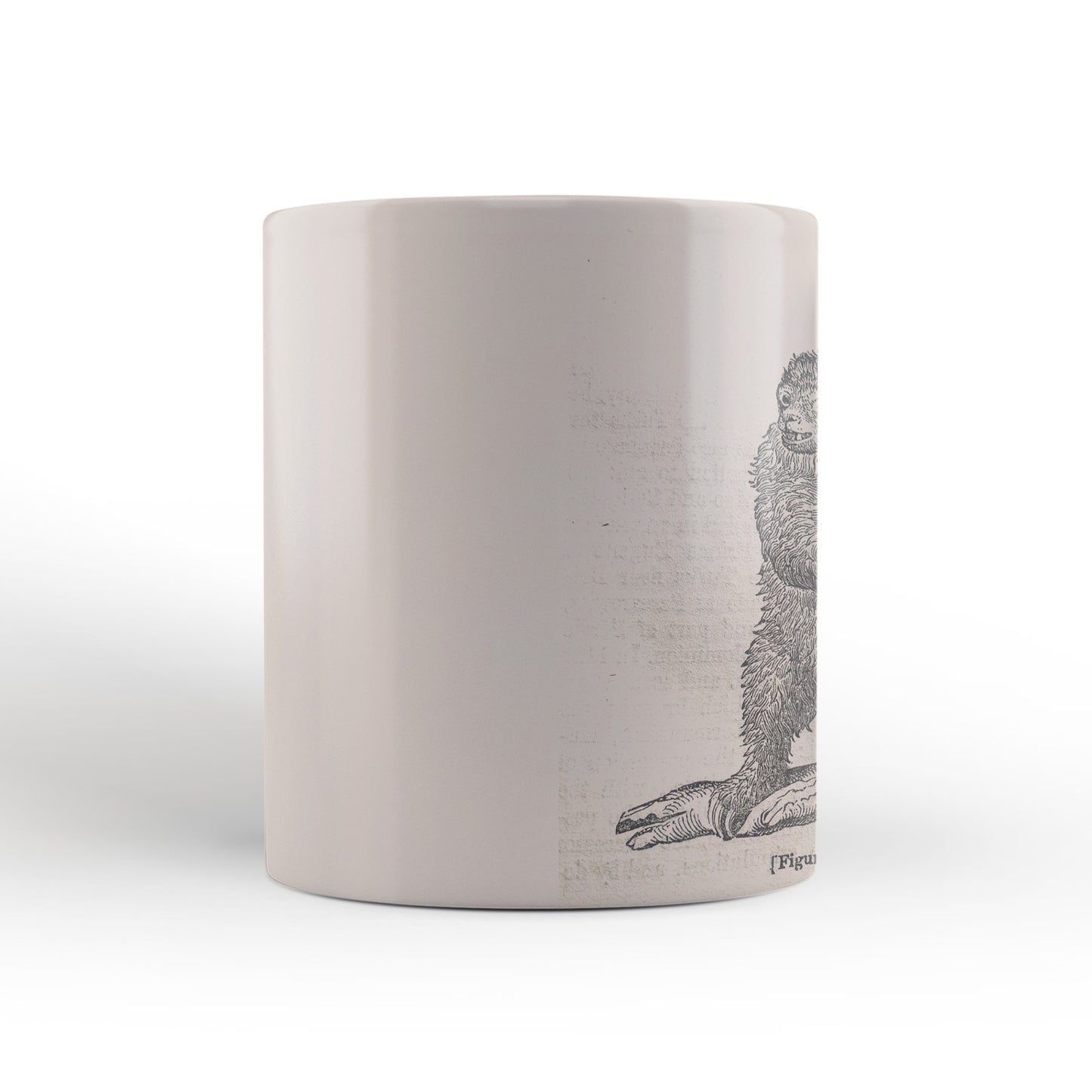 Sloth Mug from The Penny Cyclopædia (1833 to 1843), Leighton Library