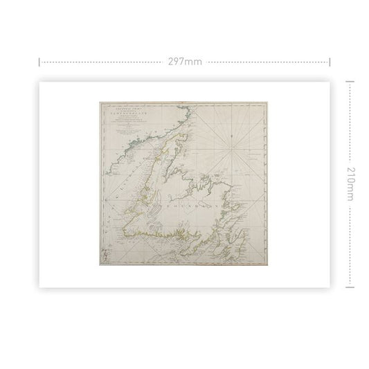 The Island of Newfoundland (The American Atlas) Art Print