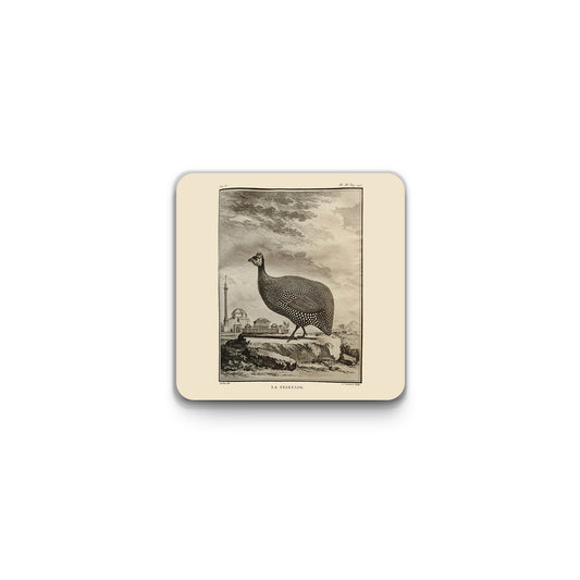 Scottish birds - Guineafowl square coaster (natural colour)