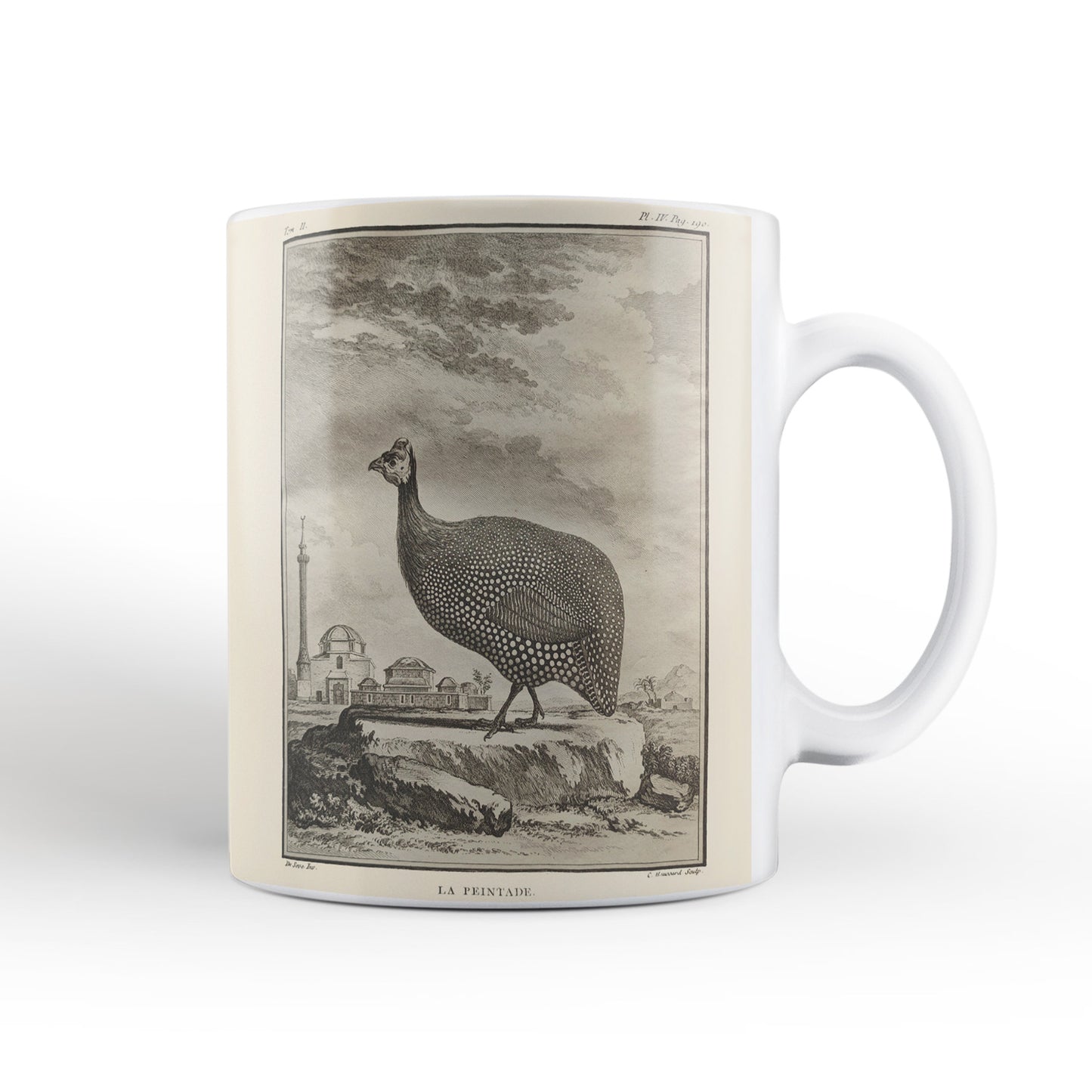 Scottish birds - Guineafowl mug (natural colour)