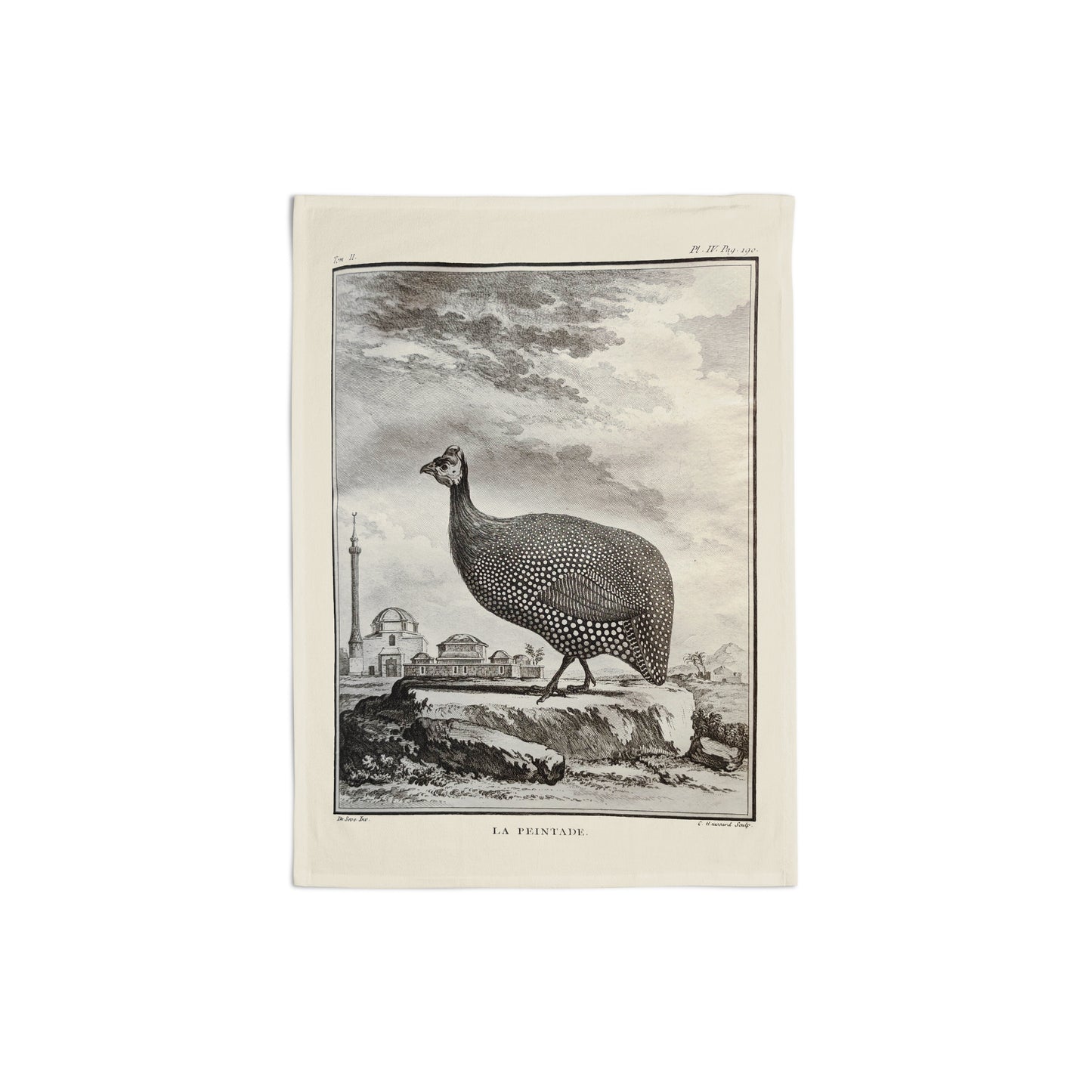 Scottish birds - Guineafowl tea towel (natural colour)