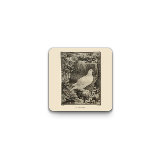 Scottish birds - Ptarmigan square coaster (natural colour)