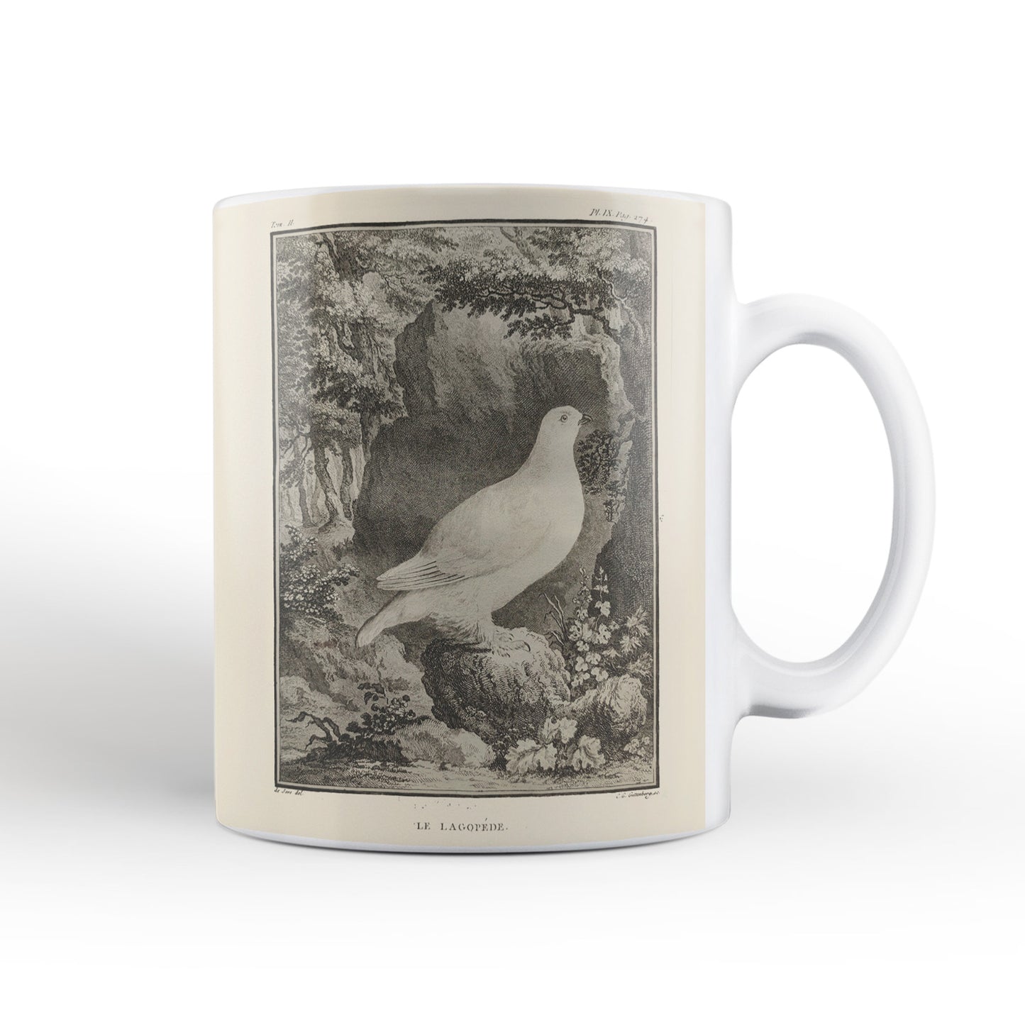 Scottish birds - Ptarmigan mug (natural colour)