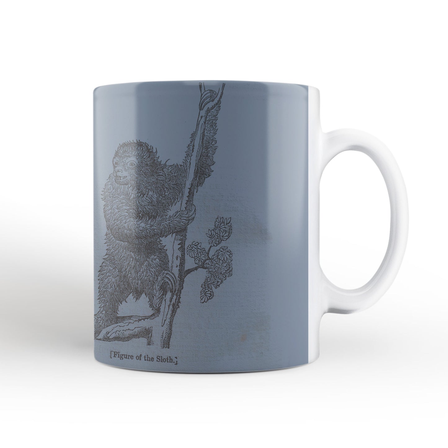 Blue Sloth Mug from The Penny Cyclopædia (1833 to 1843), Leighton Library