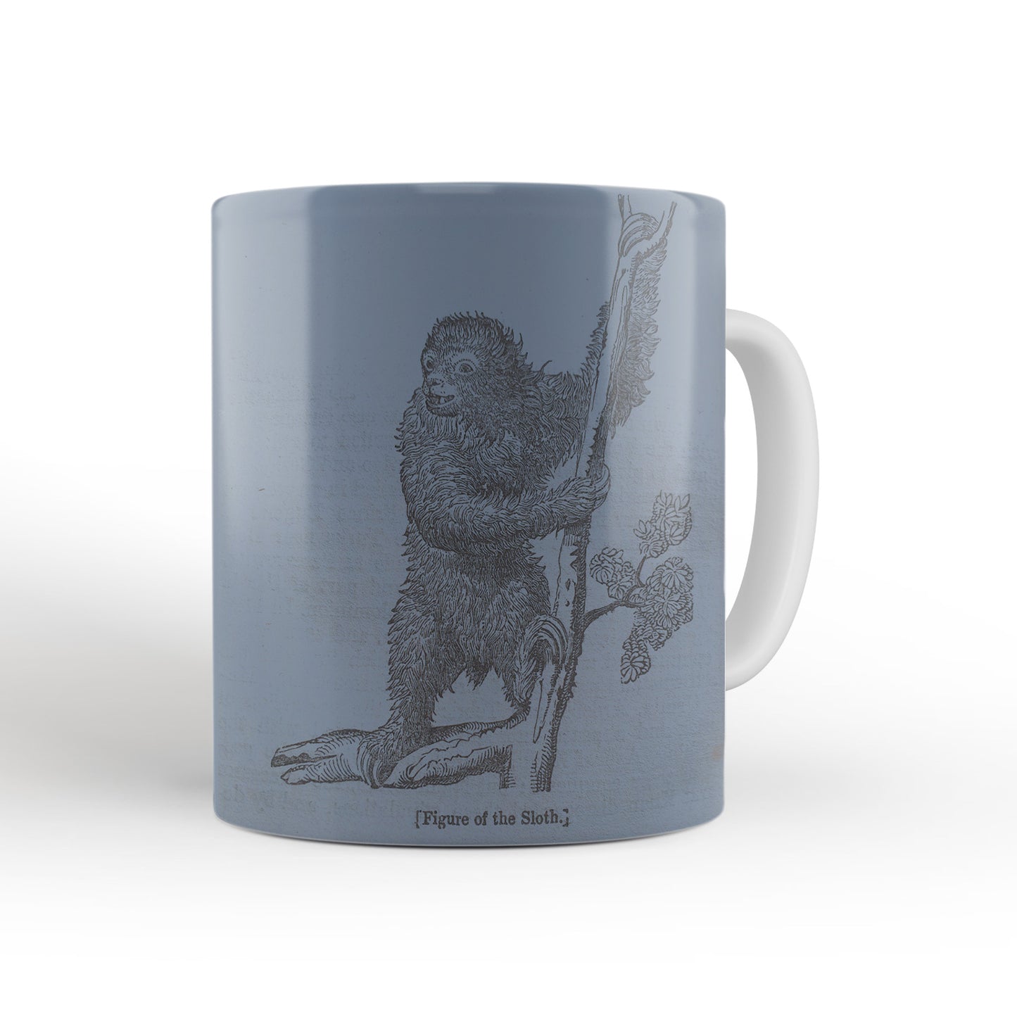 Blue Sloth Mug from The Penny Cyclopædia (1833 to 1843), Leighton Library